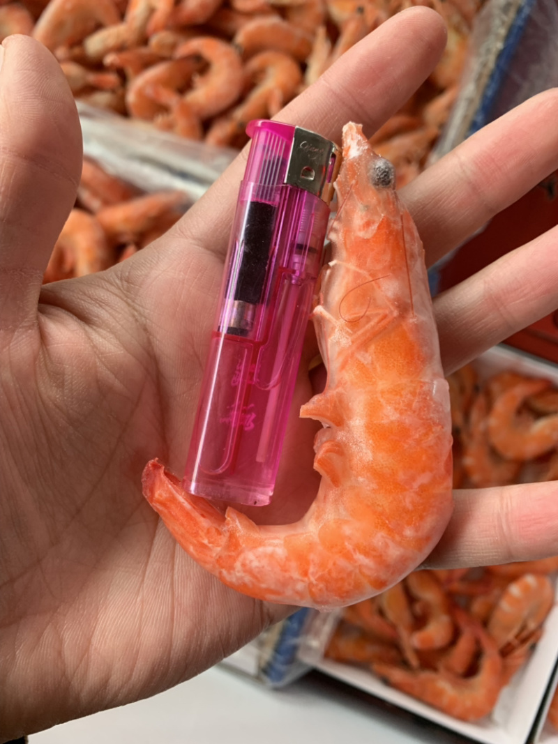 特大号红虾，每件十斤。