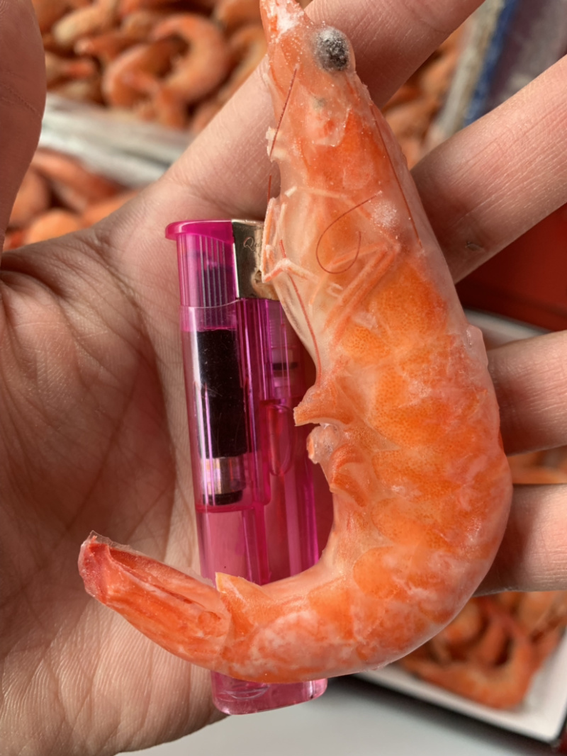 特大号红虾，每件十斤。