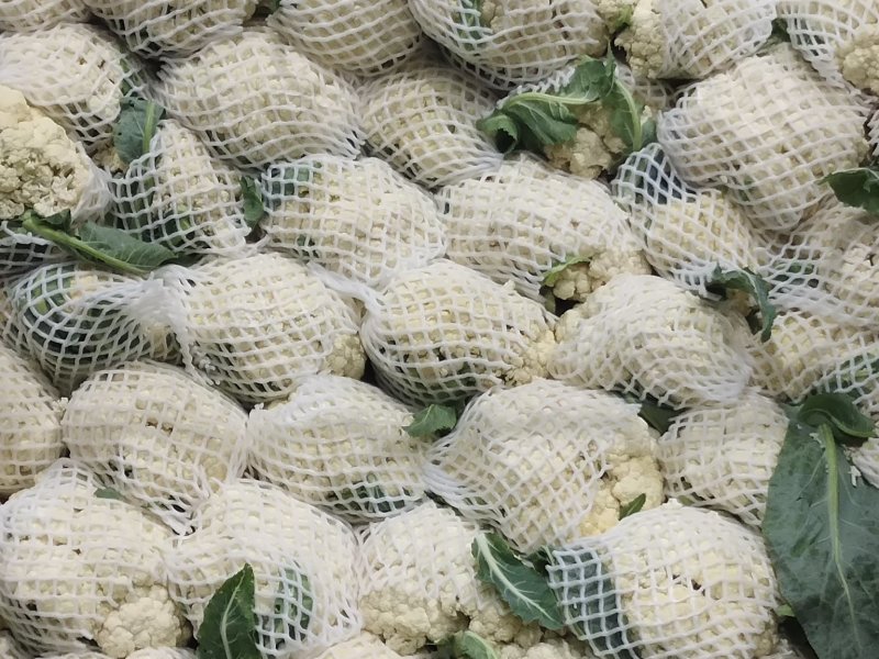 花菜精品量大从优欢迎新老采购诚信就是我们的原则