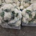 花菜精品量大从优欢迎新老采购诚信就是我们的原则