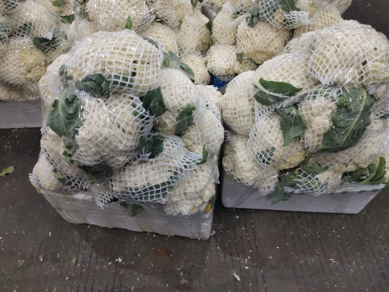 花菜精品量大从优欢迎新老采购诚信就是我们的原则