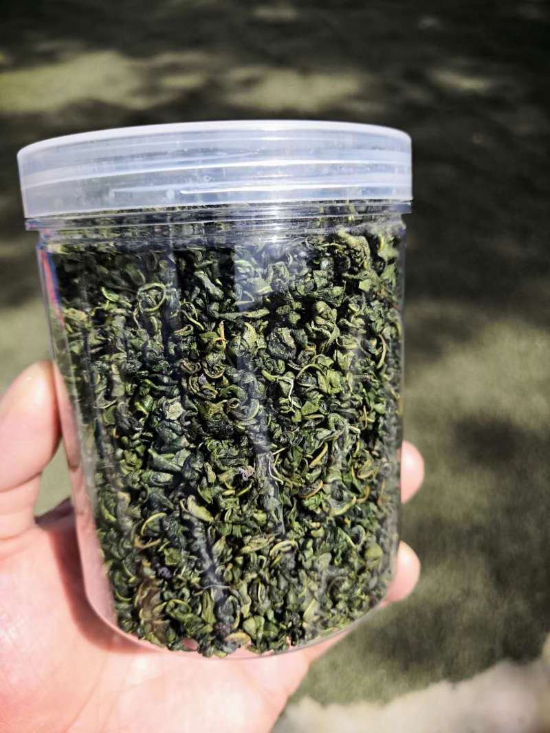 罗布麻叶罗布麻红麻