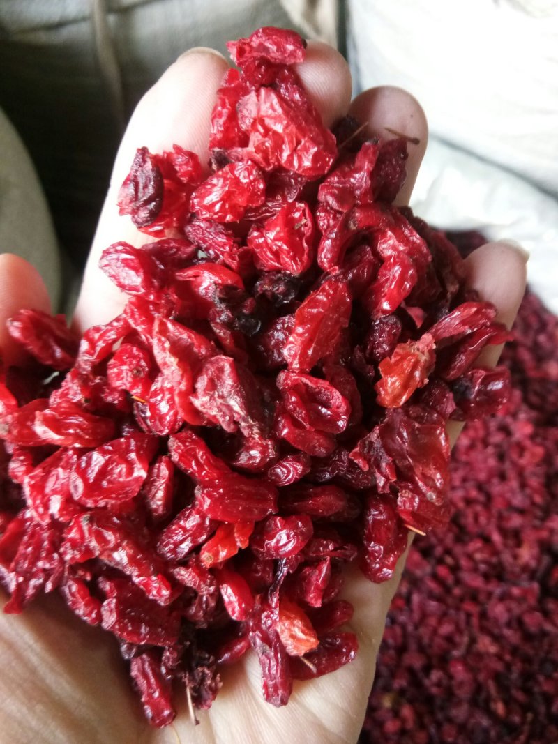 山茱萸选山萸肉（生~酒萸肉）无硫干品泡酒药用