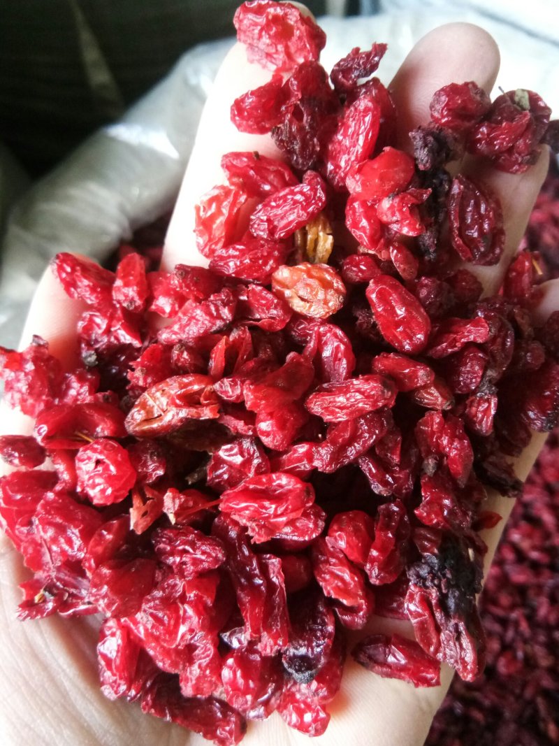 山茱萸选山萸肉（生~酒萸肉）无硫干品泡酒药用