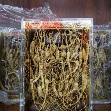 林下山参林下籽参正品高年头野播无硫干品一盒50克