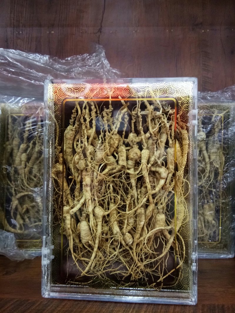 林下山参林下籽参正品高年头野播无硫干品一盒50克