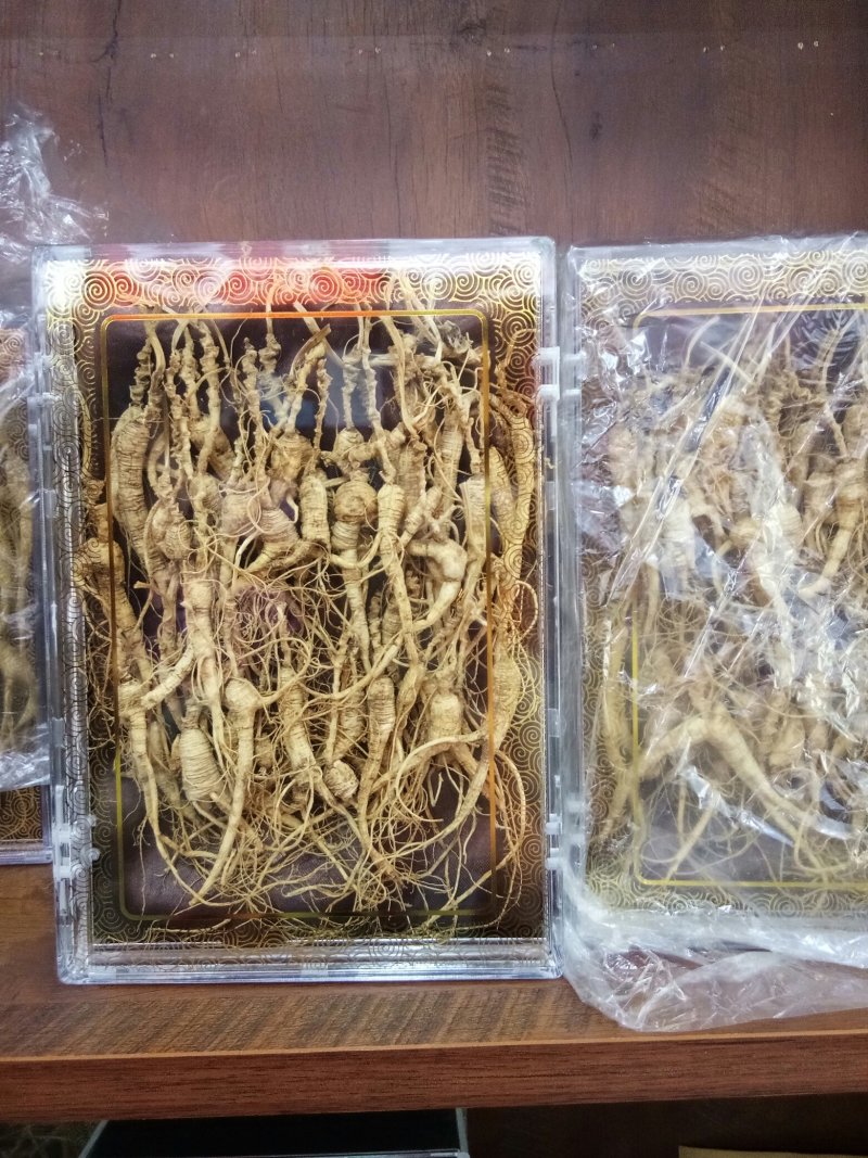 林下山参林下籽参正品高年头野播无硫干品一盒50克