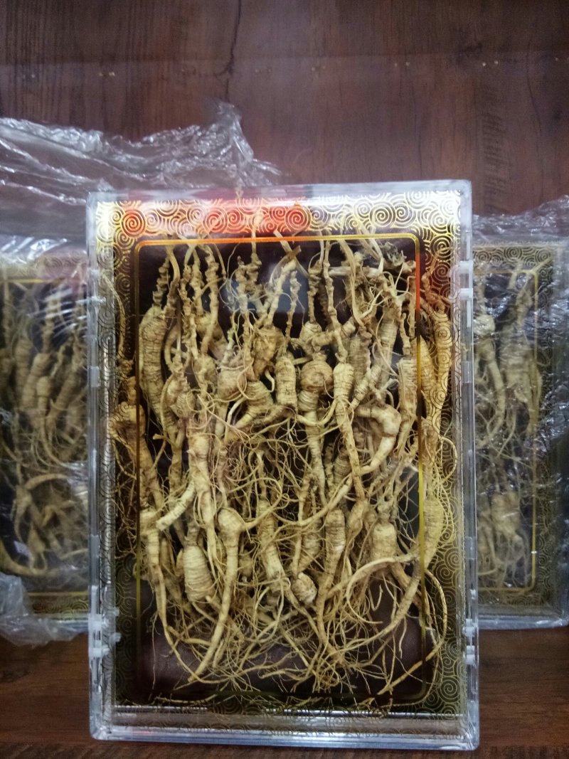 林下山参林下籽参正品高年头野播无硫干品一盒50克