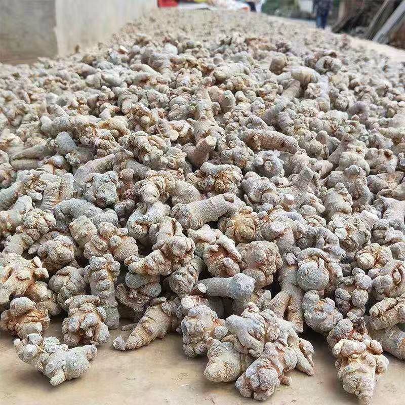 云南文山三七粉正宗文山三七超细粉500克正品包邮