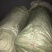 正品花椒苗大红袍狮子头产地直销免费提供种植技术