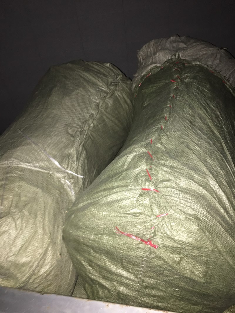 正品花椒苗大红袍狮子头产地直销免费提供种植技术