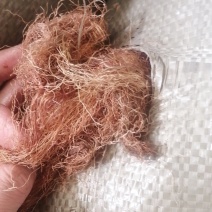 玉米须是山东产地直供大货优质玉米须质量好