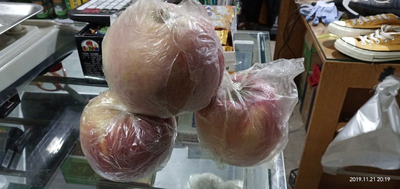 丰县大沙河红富士苹果王