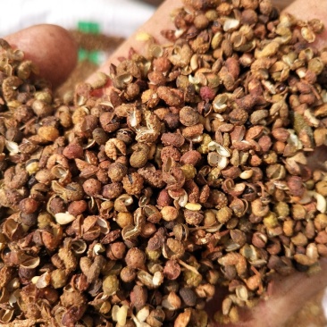 泡脚专用花椒