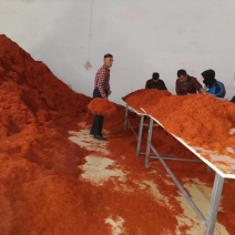 甘肃红花种植基地精选干净货源正品含量达标1斤起发甘肃红花