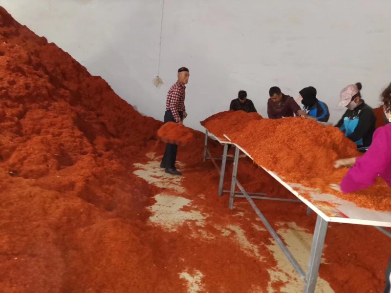 甘肃红花种植基地精选干净货源正品含量达标1斤起发甘肃红花