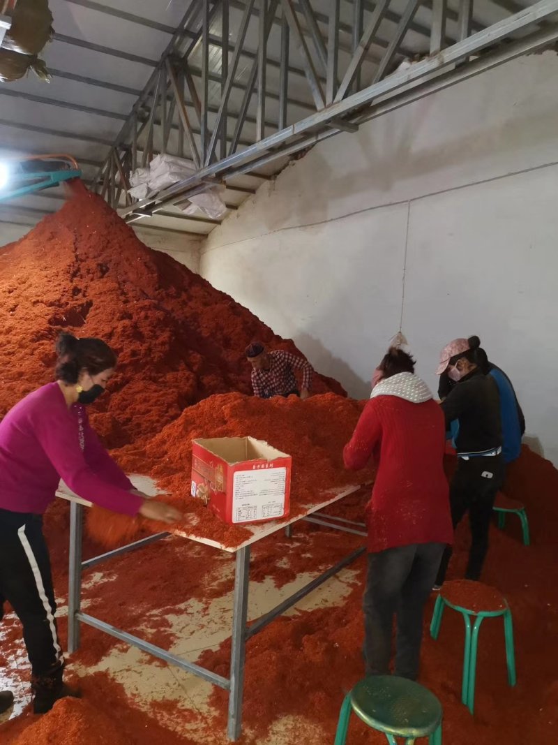 甘肃红花种植基地精选干净货源正品含量达标1斤起发甘肃红花