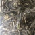 一枝黄花正品无硫一公斤起卖不包邮