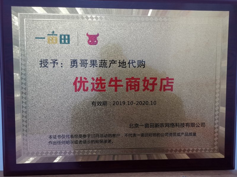 汉中高山全黄小叶密桔大量供应口感甜40～60cm