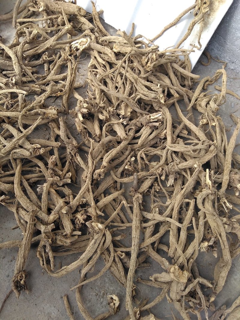 纯野生菊花茶干货，