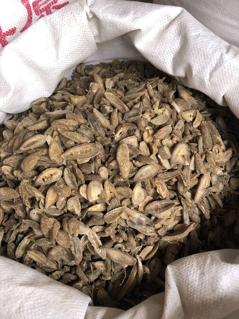 纯天然郁金中药材不包邮