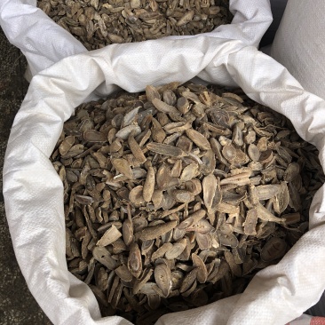 纯天然郁金中药材不包邮