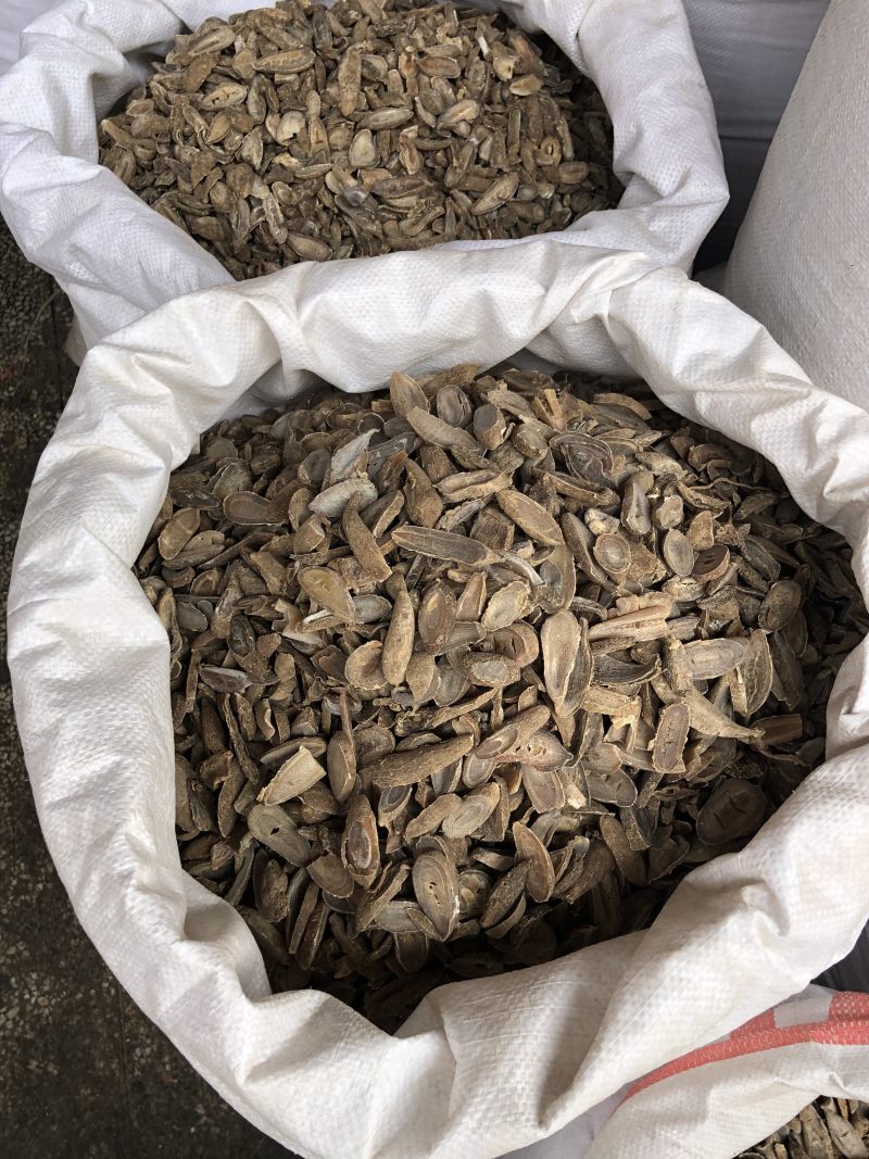 纯天然郁金中药材不包邮