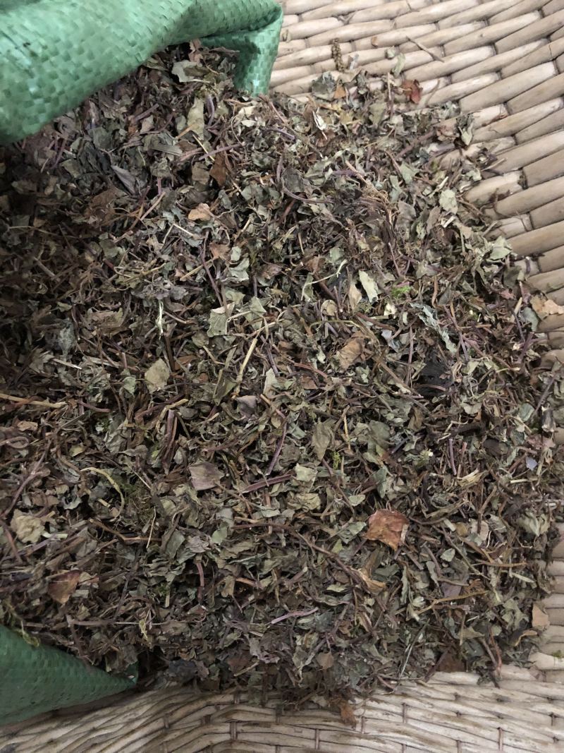 鱼腥草正品无硫不添加一公斤起卖