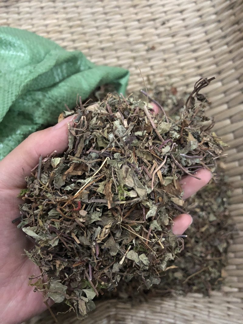 鱼腥草正品无硫不添加一公斤起卖