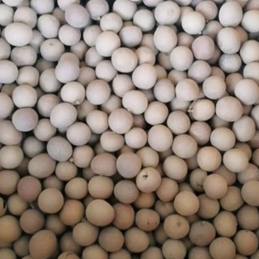 桂圆干