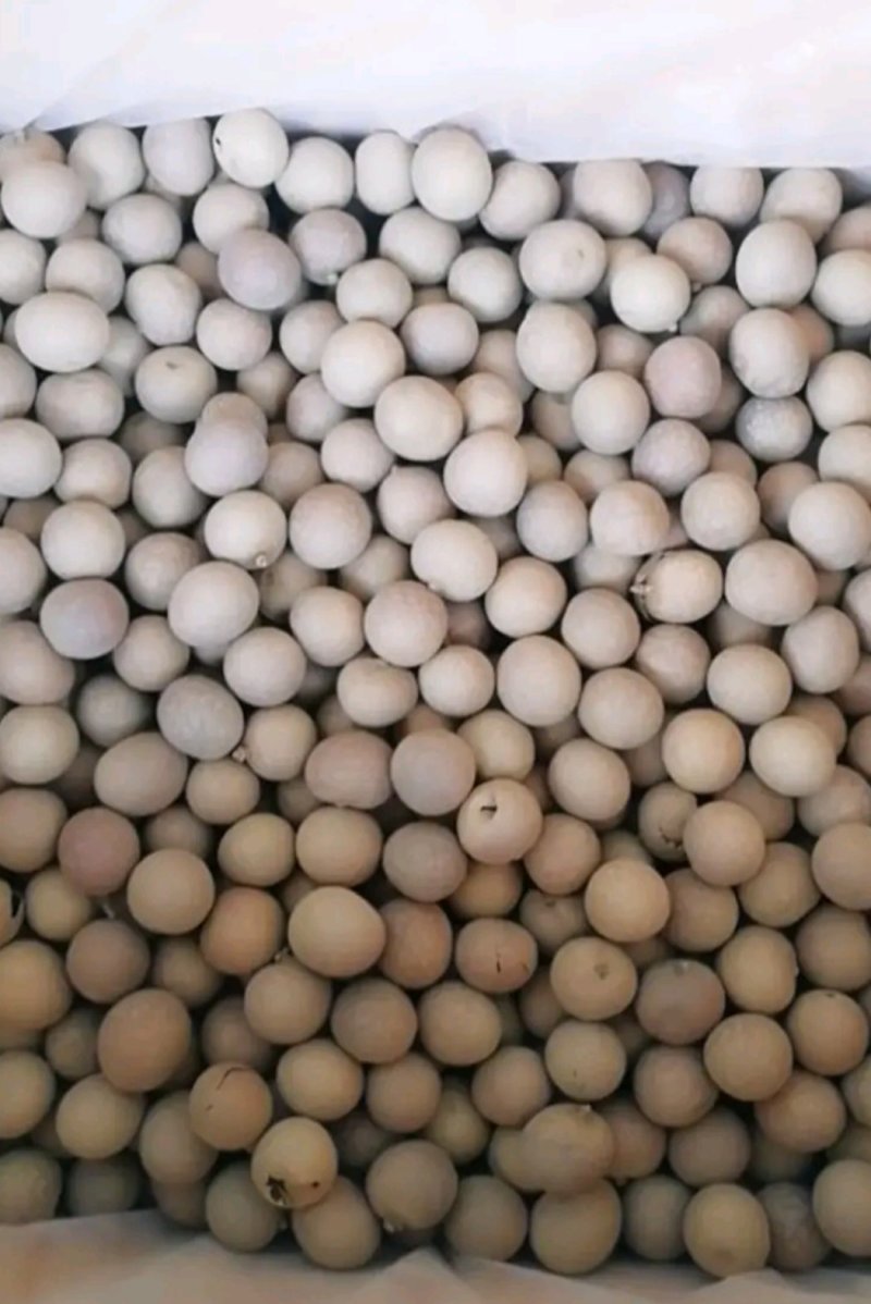 桂圆干