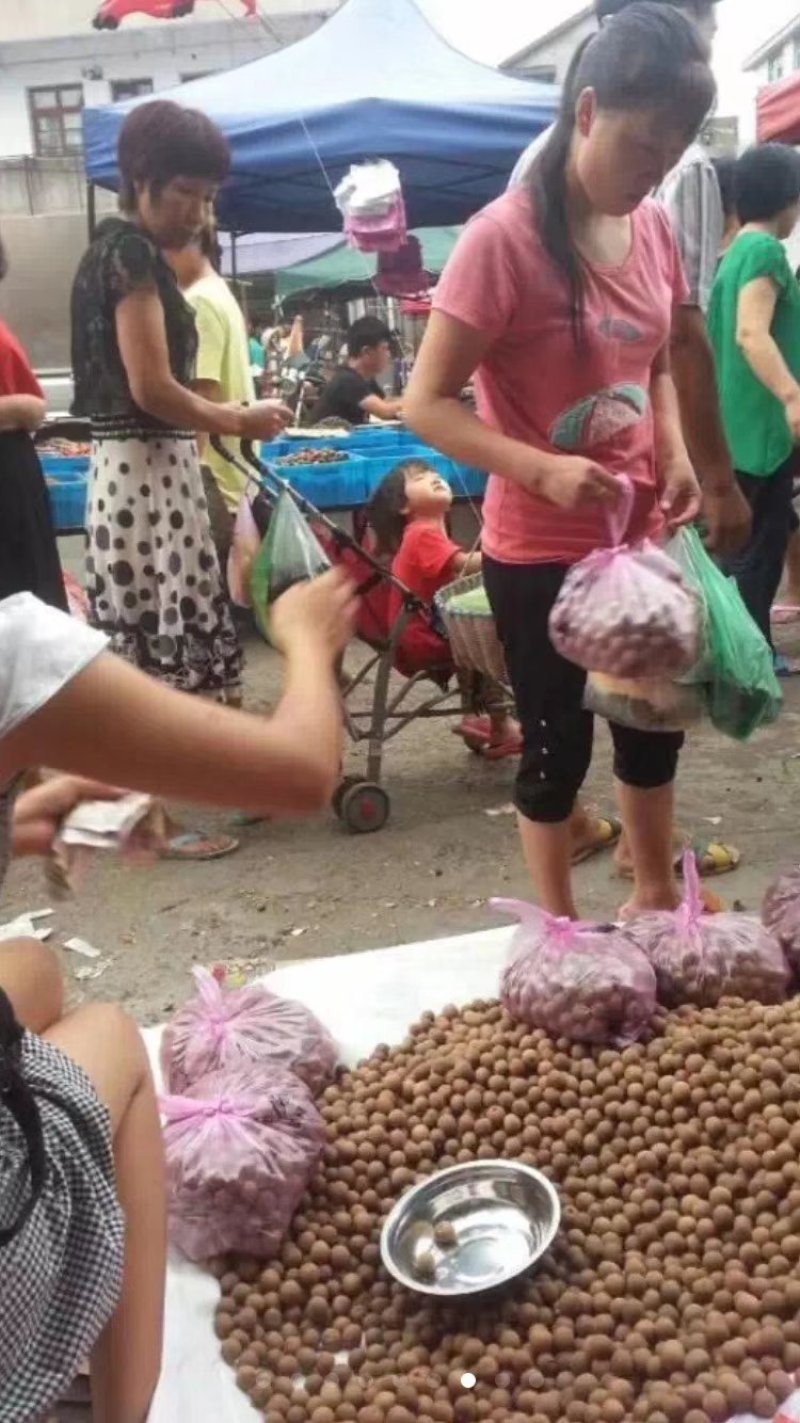 桂圆干