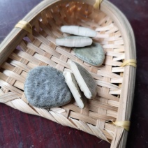 木鳖子仁木鳖子新货木鳖子仁支持药检