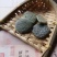 木鳖子仁木鳖子新货木鳖子仁支持药检
