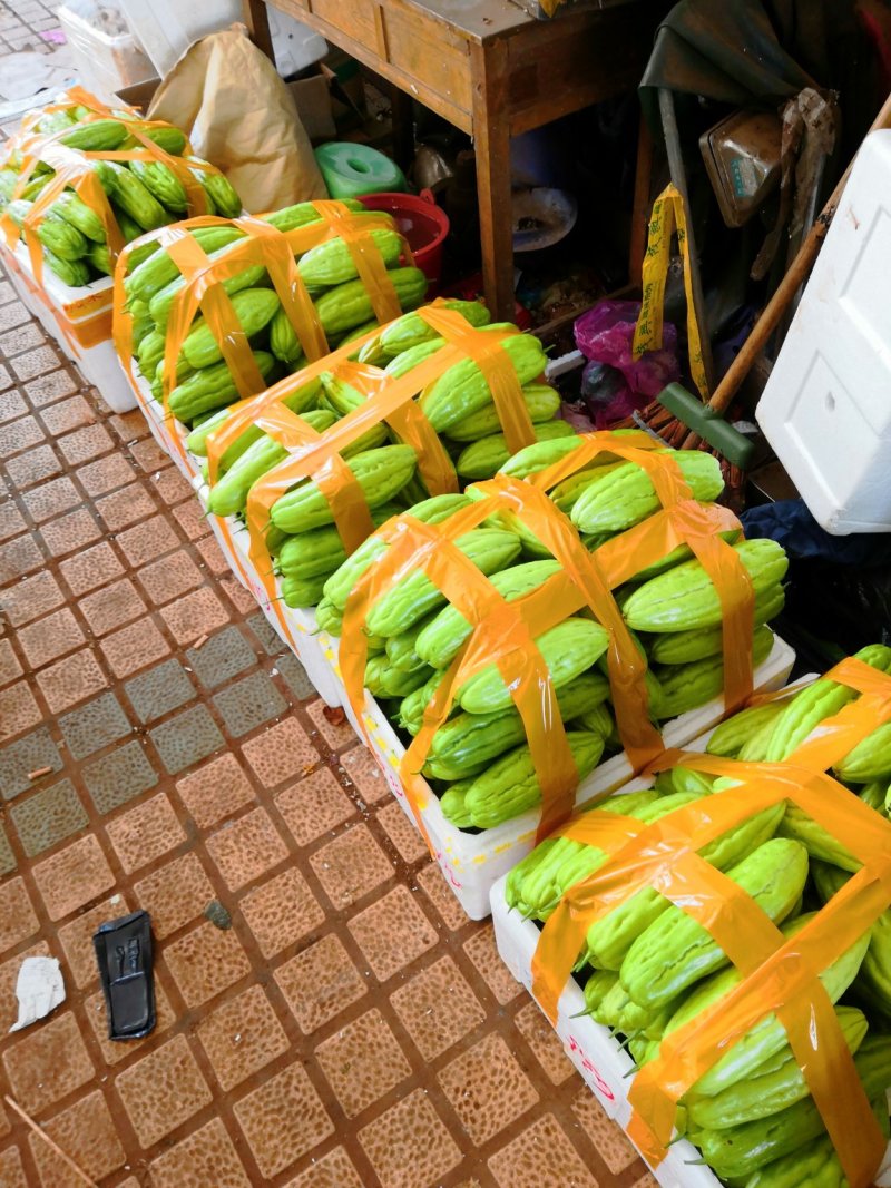 苦瓜（徐闻县特产好看又好吃）