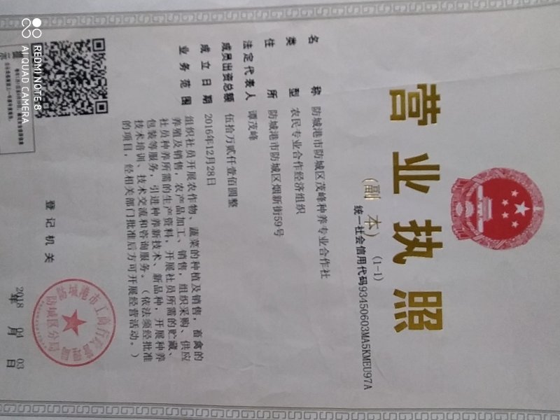 黄金百香果