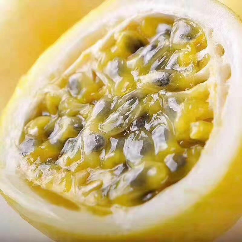 黄金百香果