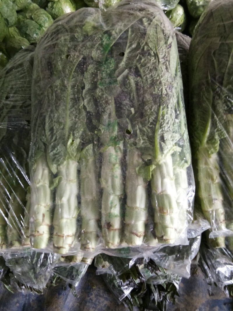 大棚种植紫叶香笋大量上市