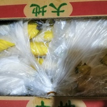香蕉