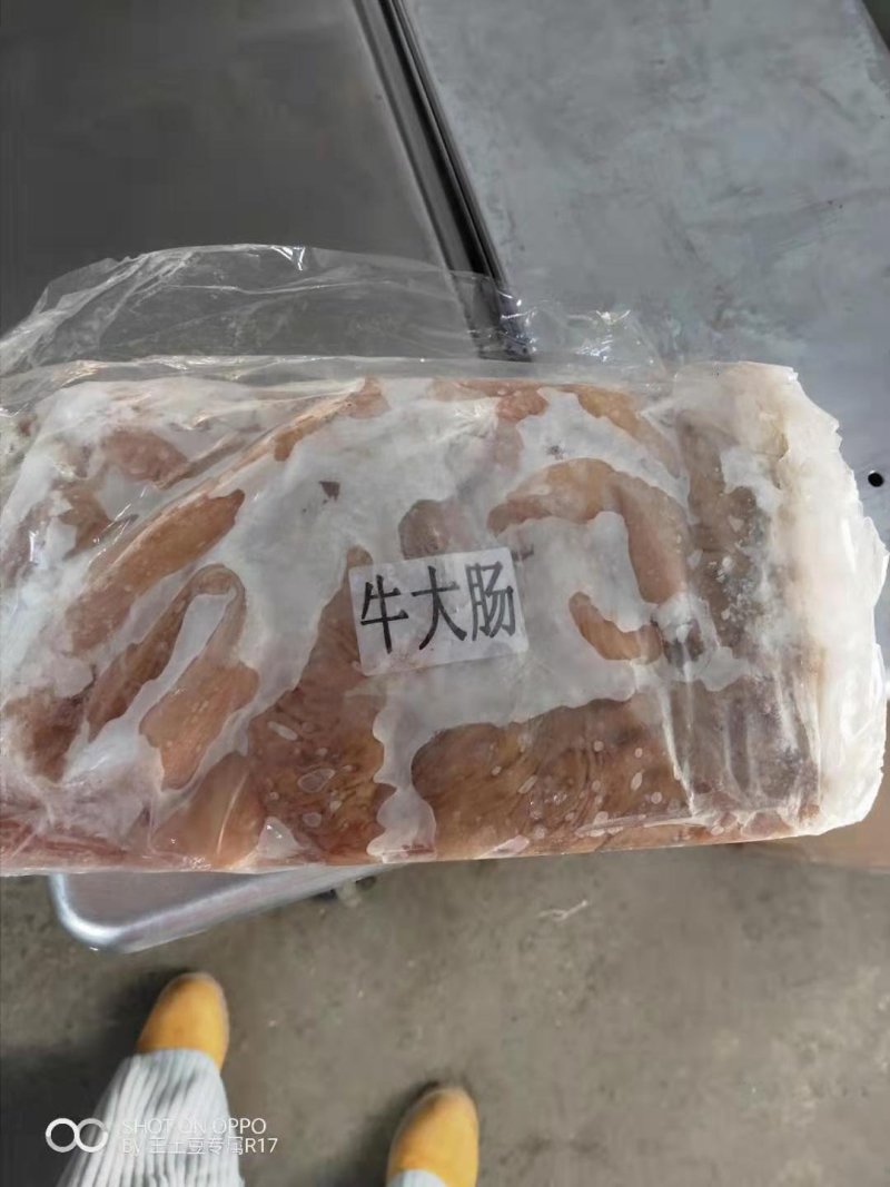 长年批发零售牛大肠，质量保证联系时请说是在一亩田看到的