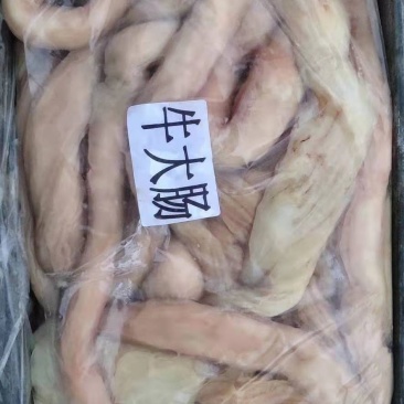 长年批发零售牛大肠，质量保证联系时请说是在一亩田看到的