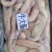 长年批发零售牛大肠，质量保证联系时请说是在一亩田看到的