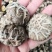 【有好货】花菇干货，产地直供量大从优