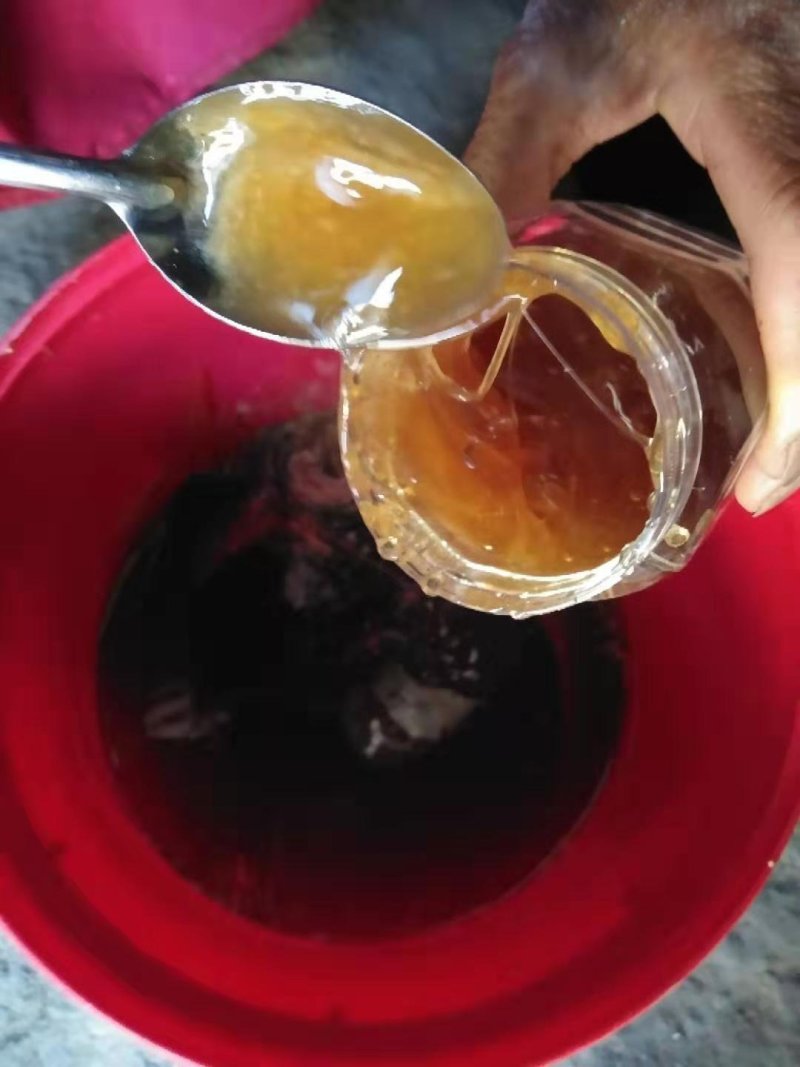 纯天然的土蜂蜜，百花蜜