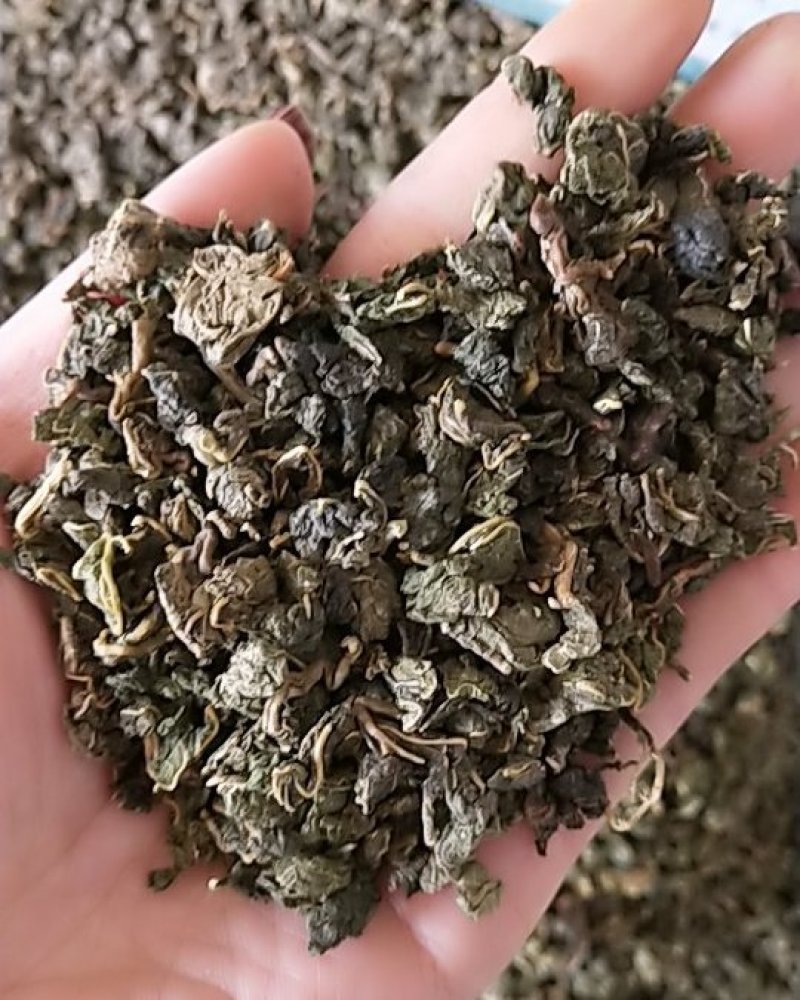 桑叶茶一手货源价格超低纯绿色源头厂家