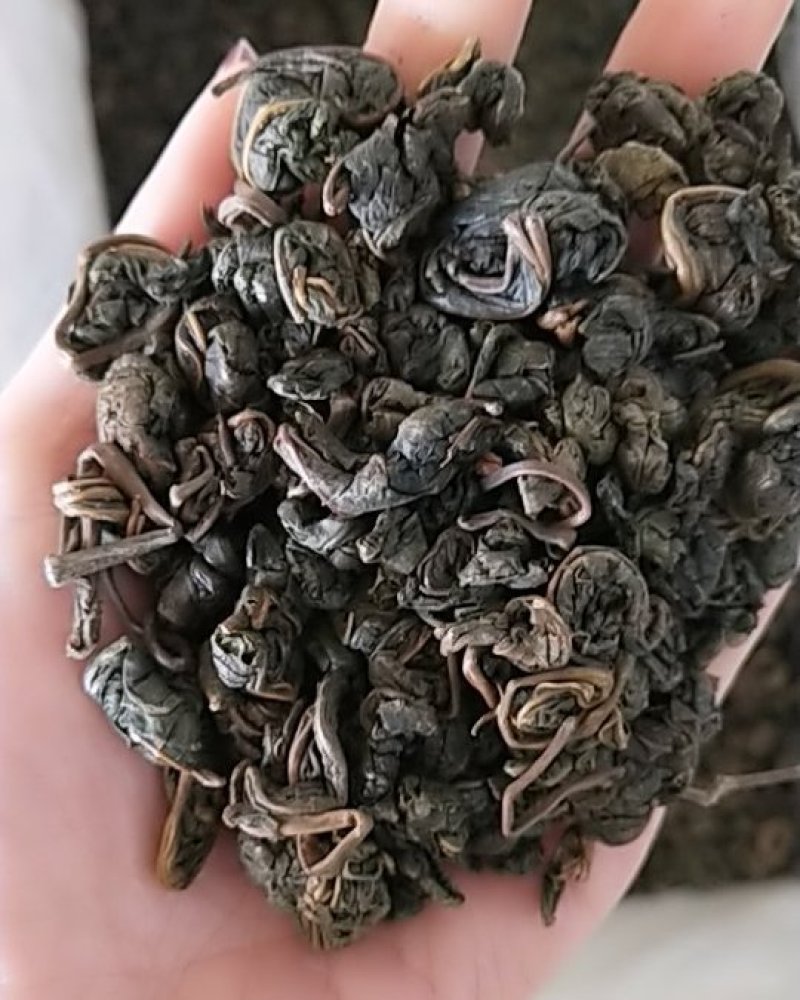 桑叶茶一手货源价格超低纯绿色源头厂家