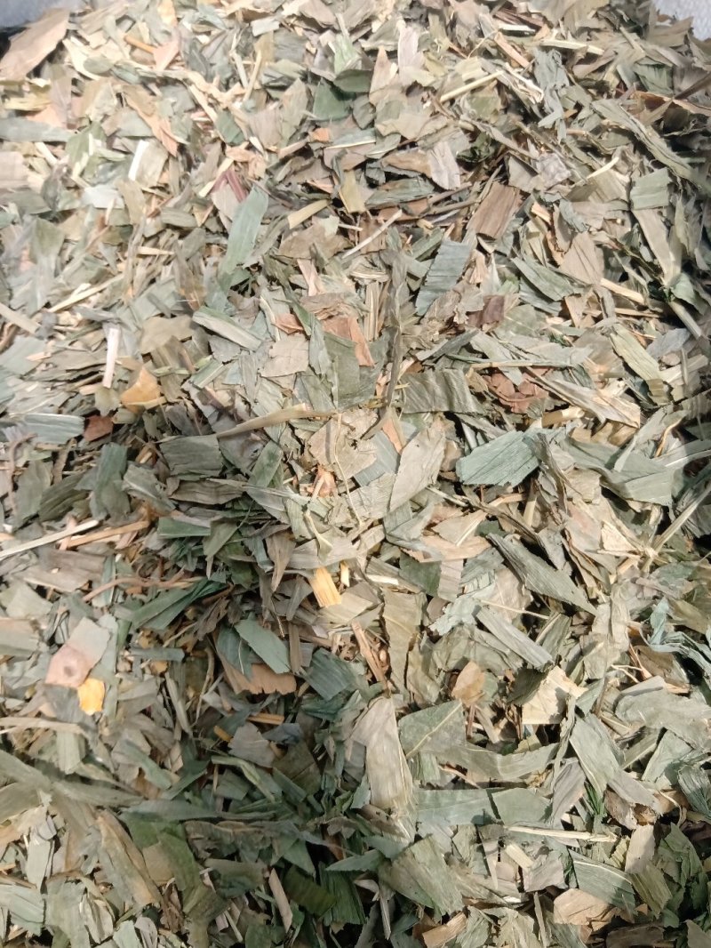 淡竹叶1公斤起批不包邮供应各种中药材