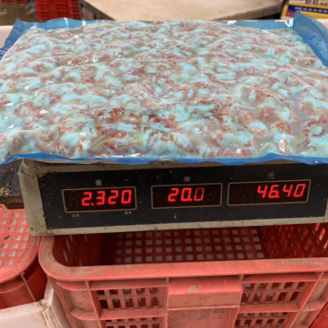 潜江冷冻去黄龙虾仁水洗小龙虾肉出口品质多种规格全国批发
