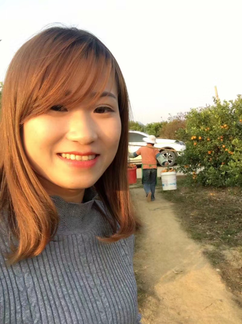 广西武鸣皇帝柑