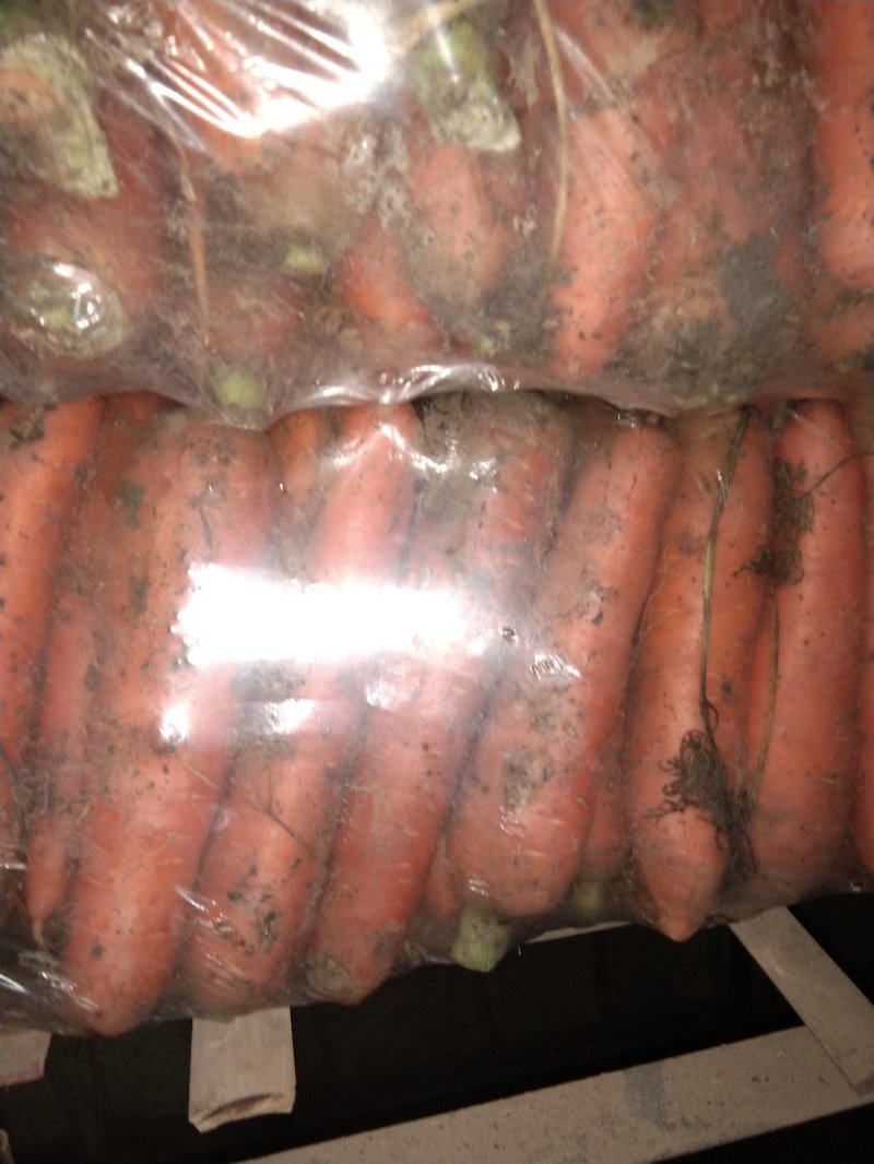 红萝卜三红胡萝卜产地货源，品质优良，对接商超/电商等
